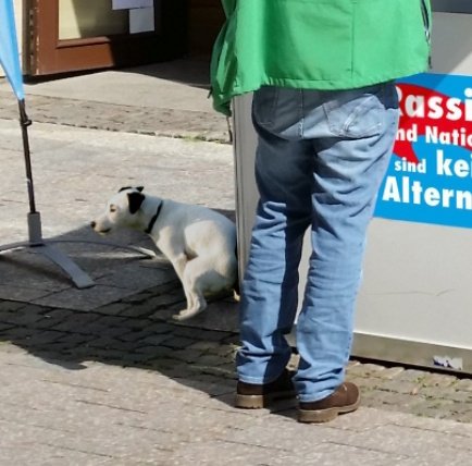 Ein Held seiner Klasse 🐶