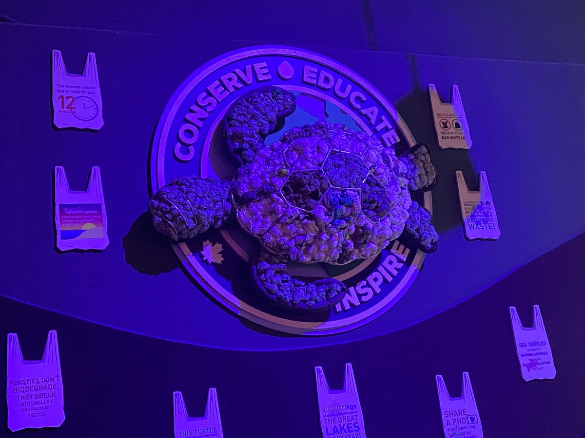 PCICICIL's tweet photo. @RipleysAquaCA https://t.co/wgwKsmkAdX
