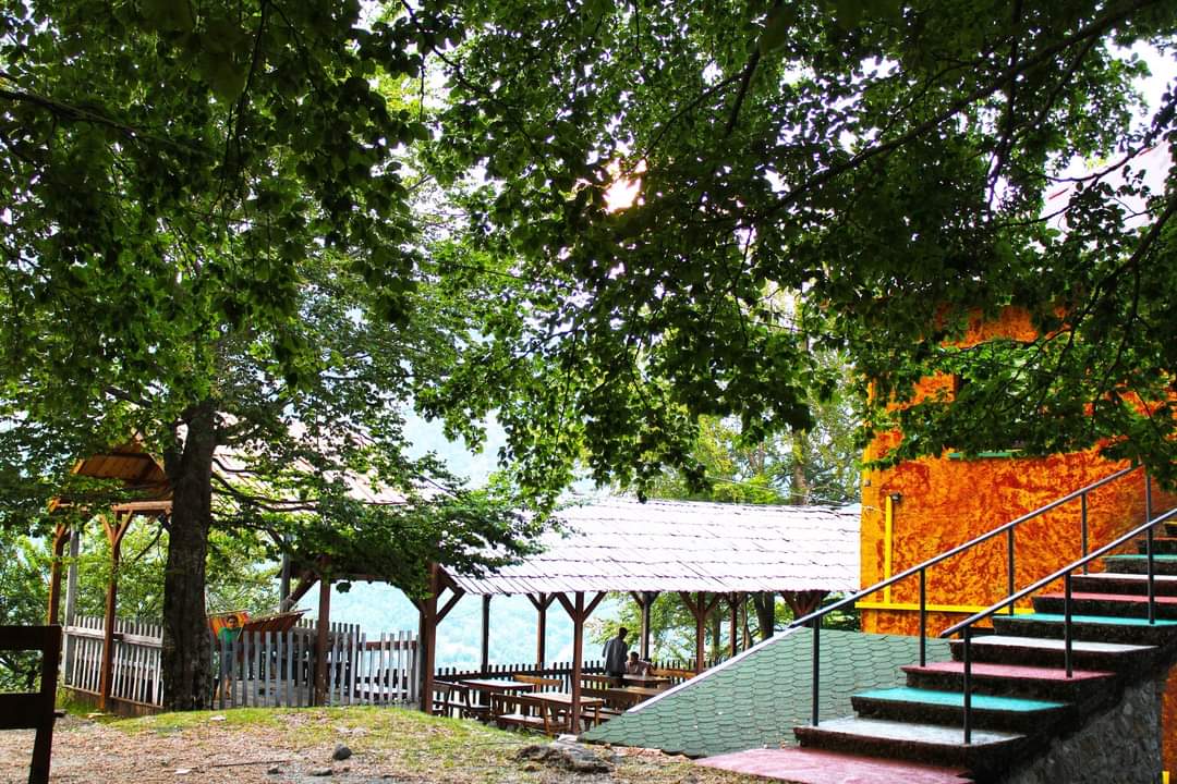 FlockaHostel's tweet photo. It is always "summer" somewhere. 😉 https://t.co/QKMXZRu8BQ