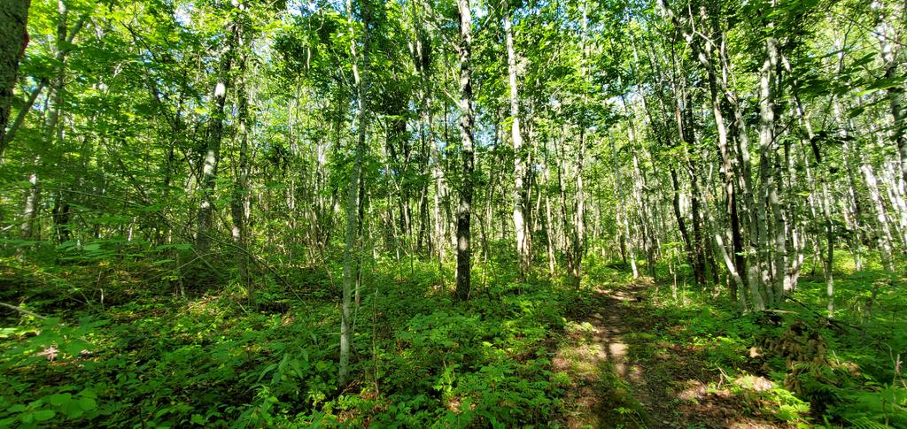 don_e_lyons's tweet photo. Bremen town trail #inMaine https://t.co/aGERkmBfsj