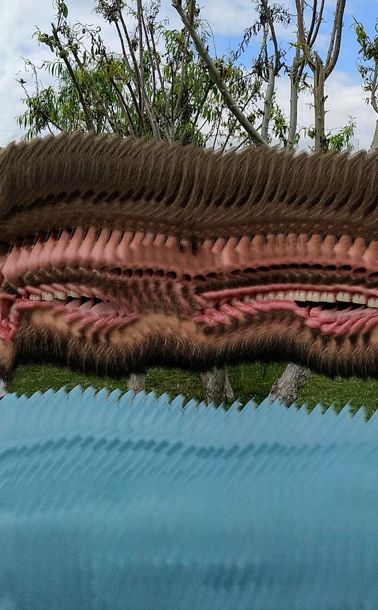 WilliamPatin's tweet photo. @zachlieberman It also works with faces... 😬 https://t.co/BI1oPojtew