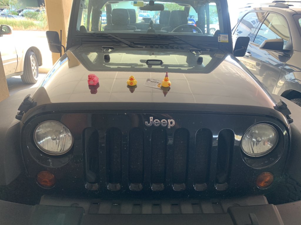 Dgeviper91's tweet photo. I got ducked 3 times this week #ocjw2020 #duckduckjeep https://t.co/rLmMTF5ItY