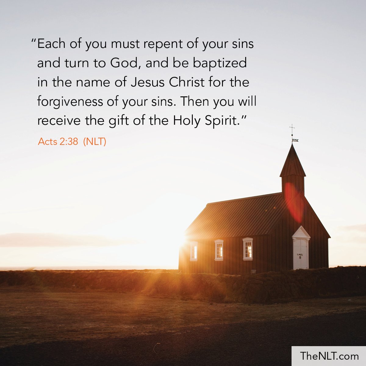 Nlt Bible Verse Peter Replied Each Of You Must Repent Of Your Sins And Turn To God And Be Baptized In The Name Of Jesus Christ For The Forgiveness Of