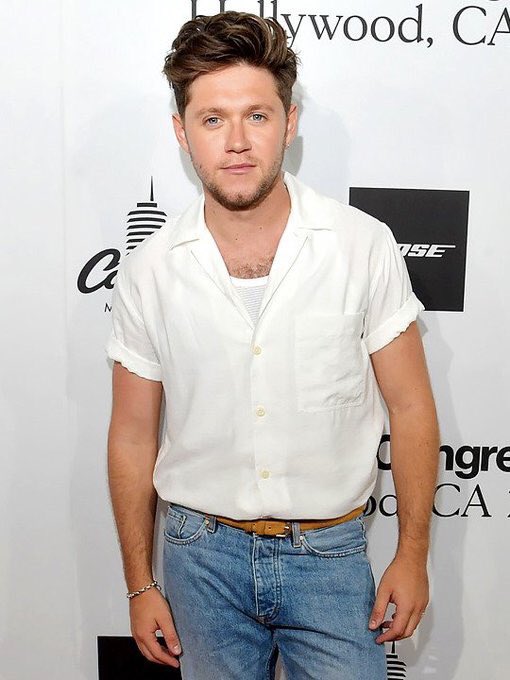 niall horan: a very fashionable young man