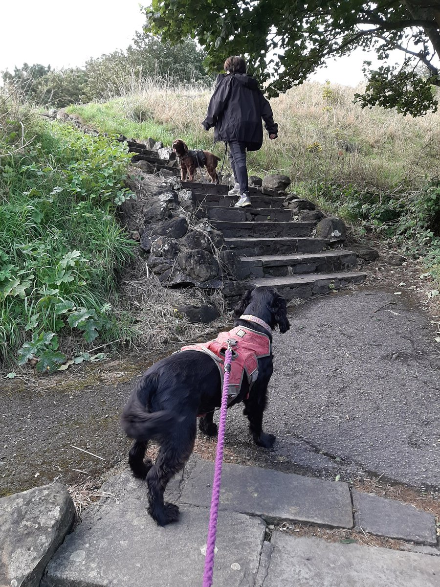 VMulvanaTuohy's tweet photo. The #exerciseoff challenge may be over but #AHPsActive  isn't we finished the cleveland way today whoop @BernieTuohy https://t.co/giwXa2NLGv