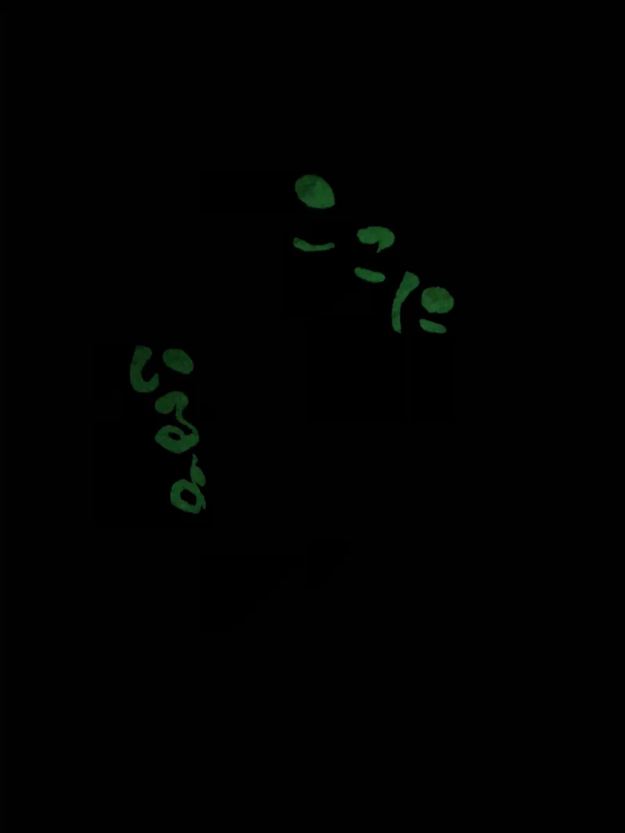 暗闇に浮かび上がる「ここにいるよ」の文字！その正体は幽霊ではなく･･･www