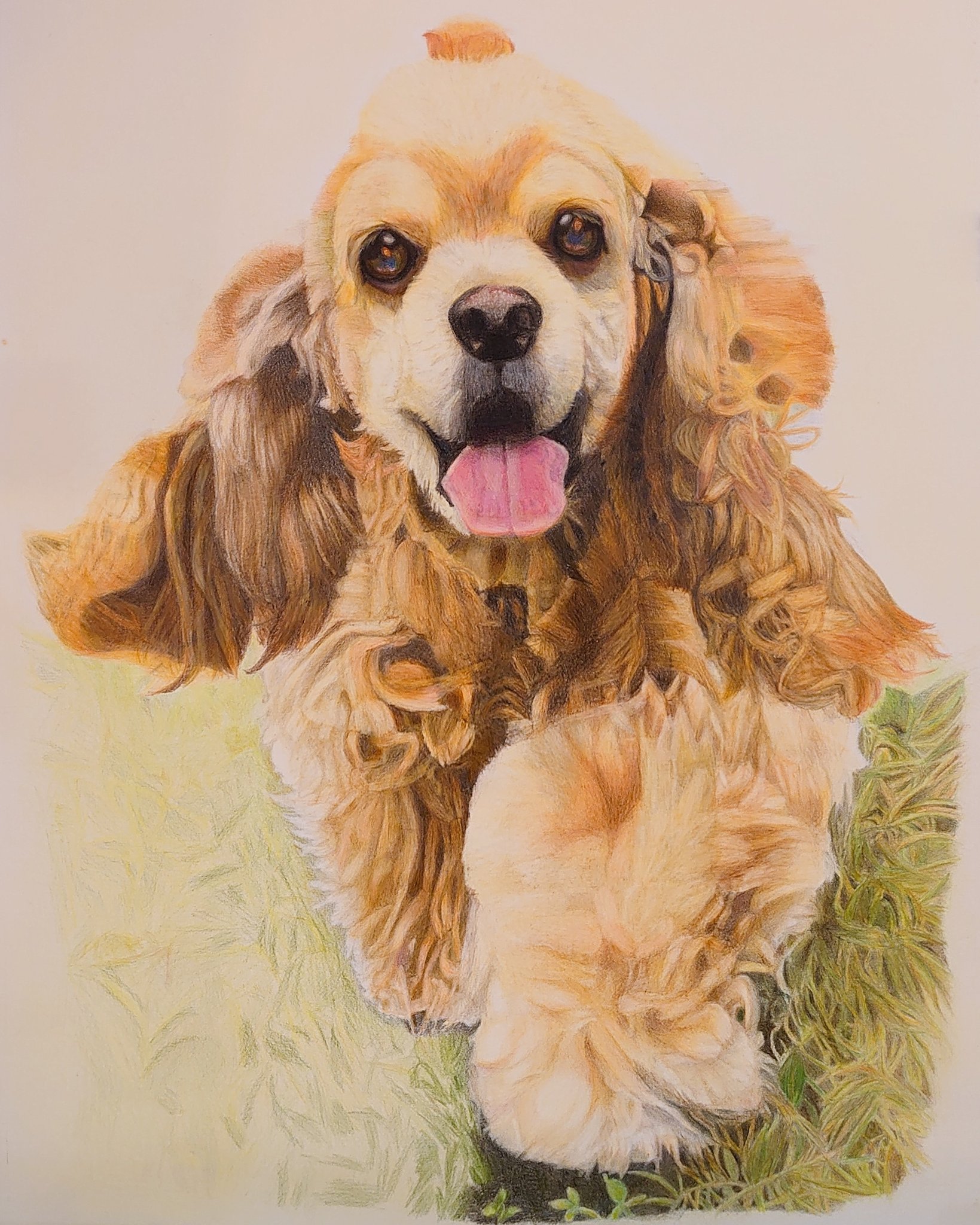 Miwa 2ヶ月前から描いている愛犬の絵 先週末からやっと背景突入 ひたすら 草 描いてます まだまだゴールはほど遠いです 色鉛筆画 Coloredpencildrawing アメリカンコッカースパニエル アメコカ Aコカ 犬の絵 ペット肖像画 ペット Miwa 2ヶ月前から描いている愛犬の絵 先週末からやっと背景突入 ひたすら 草 描いてます まだまだゴールはほど遠いです 色鉛筆画 Coloredpencildrawing アメリカンコッカースパニエル アメコカ Aコカ 犬の絵 ペット肖像画 ペット