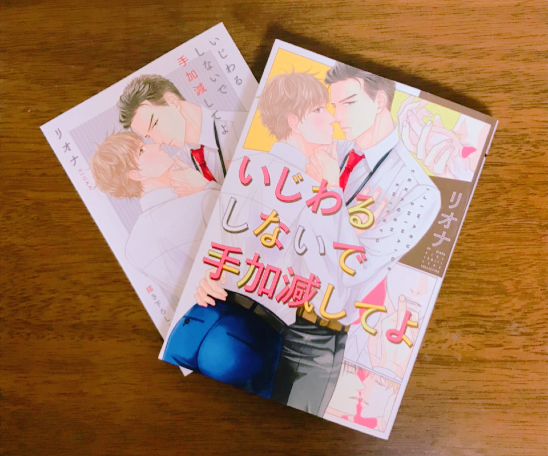 海子 リオナ 先生 いじわるしないで手加減してよ いじてか読んだ 総務部で働く同期 矢部 夏都 几帳面で 潔癖な矢部 雑で大らかな夏都 性格が真逆な2人が同居 先生の会話のテンポが凄く好きで思わず笑ってしまうところあり ラストが凄く良かっ