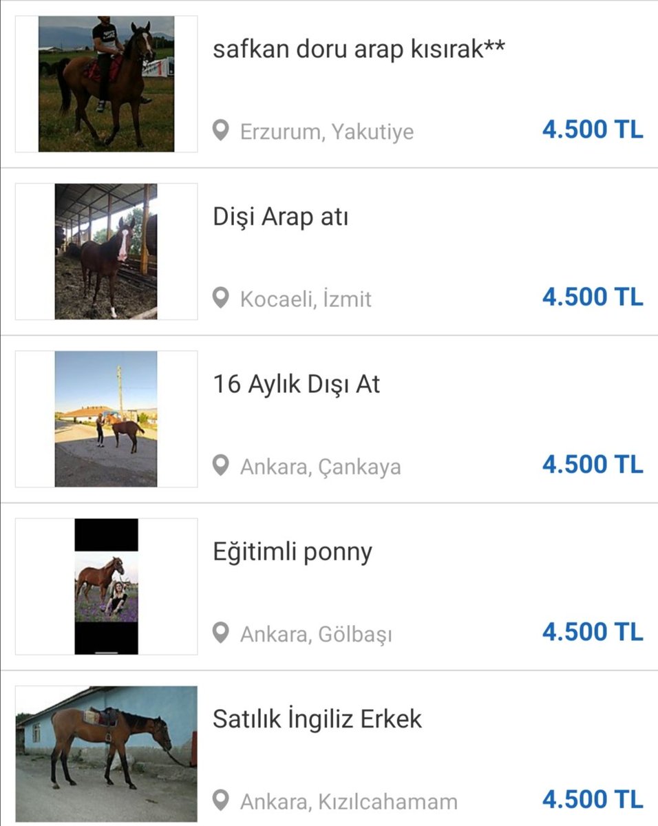 Anlık Türk Vatandaşı
#ötvzammı