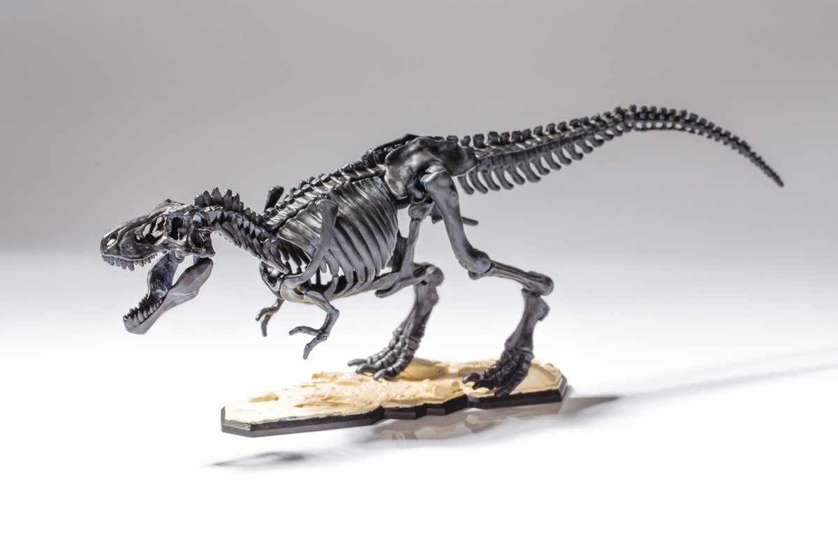 Gen ティラノサウルス ブラック ビューティー できました 雑誌小学8年生10月号の付録 ティラノサウルス全身骨格プラモデル をシタデルカラーで塗りました 元ネタはカナダのロイヤル ティレル古生物学博物館にある同名 の化石ですわ