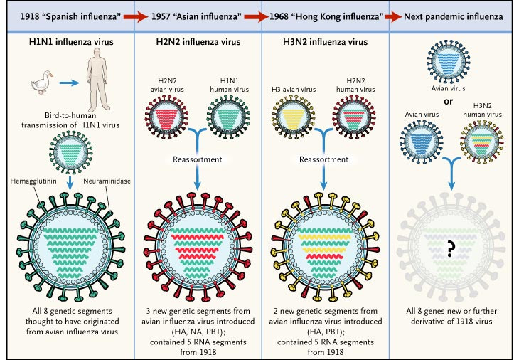 21) This is very peculiar, since the article also claims that the 1918 illness was just a variation of ordinary, “seasonal” influenza. Once again, since viruses are not alive, it is preposterous for the CDC to claim that any virus has “descendants.”