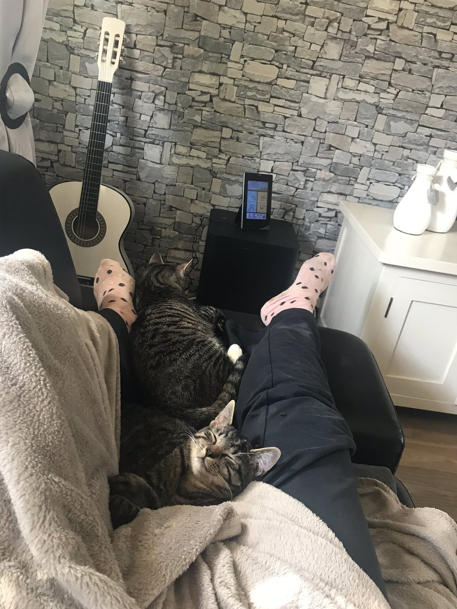 Thanks_TomEllis's tweet photo. @MoppyOpps @tomellis17 
...with this tweet I want to thank you so much for letting others (inclusive me) know to give lost cats a home. My two loved rescued furballs are living now their happiest life. I don’t want to miss them anymore.❤️ https://t.co/lUHUylNrdv