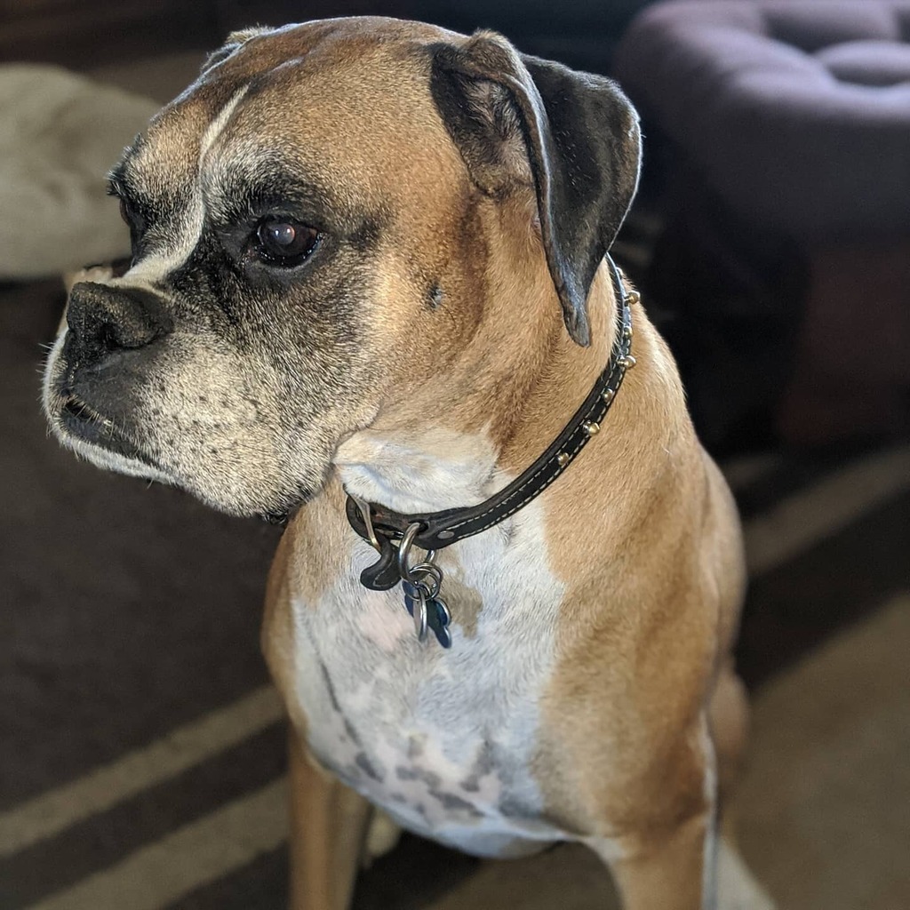 Rebecca Klein Vetter tweet media