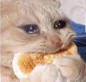 落魄画师在线悲报:
原p站号喵咕君QvQ(KH3)被封了。现在等解封中~
大家可以关注一下重生号:
喵咕君QAQ(KH3)
pid=58434088
https://t.co/NH6KVtbSrD
帮忙扩散一下。动动手指。加速重生。 