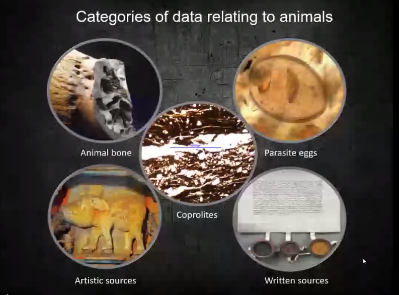 samleggs22's tweet photo. Multi-proxy #zooarch &amp; #environmental data from the #ecologyofcrusading project @Baltic_Crusades #s275 how do the #crusades in the #baltic impact #ecology &amp; reflect social resilience/adaptation? #eaa2020virtual @archaeologyEAA #medieval #archaeology #archsci #livonia #prussia https://t.co/JBHNLRA4JS