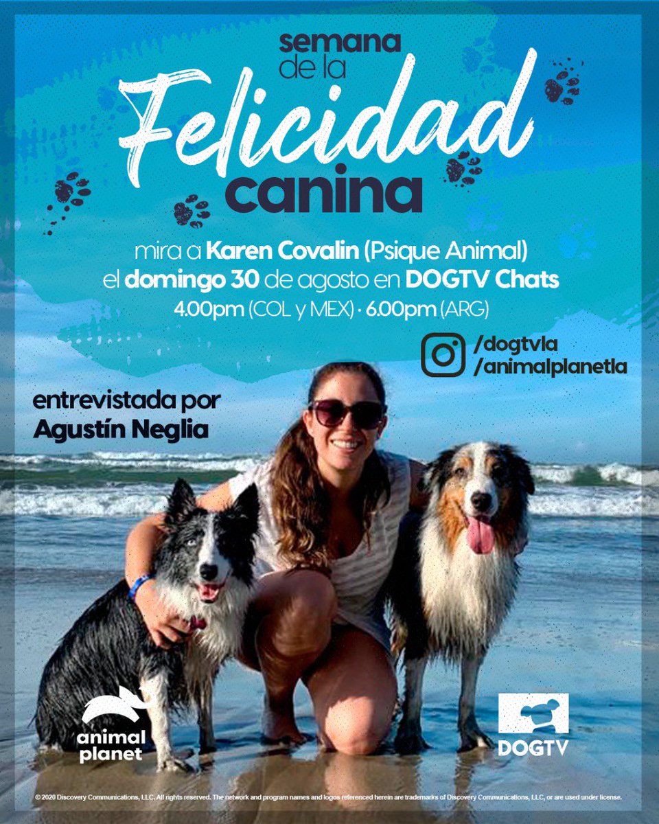 PsiqueAnimal's tweet photo. No se lo pierdan 🤩🐶 #SemanaDeLaFelicidadCanina @AnimalPlanetLat @DogTvla https://t.co/yXATShke7s