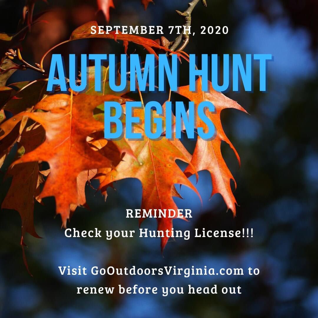 BullRunHunt tweet picture