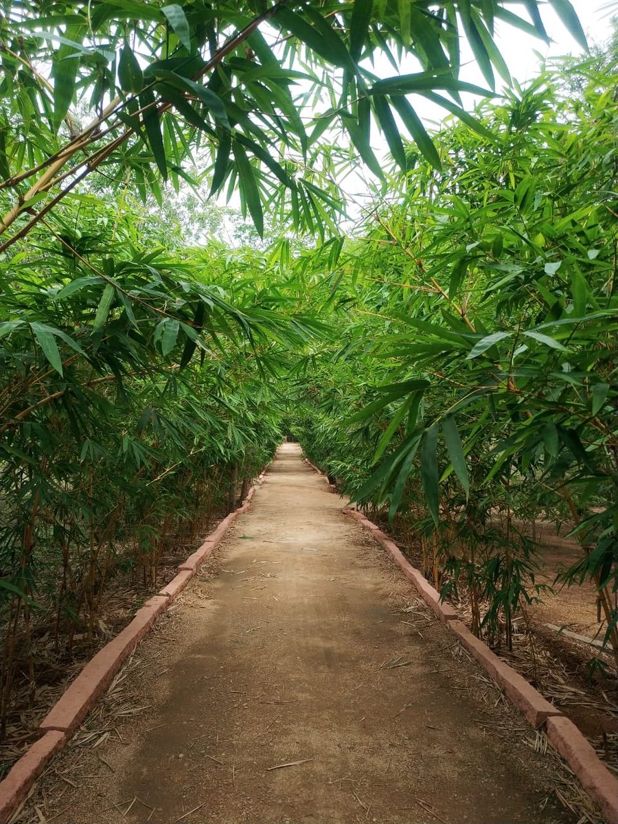 KTRBRS's tweet photo. Announcing a new initiative; the Green Space Index (GSI) rankings for all Urban Local Bodies (ULBs) in Telangana to promote a sense of competition among towns/cities which will help increase the much needed green cover under #HaritaHaaram 
#GreenActionPlan
#GreenSpaceIndex https://t.co/NIUVb8iGlx