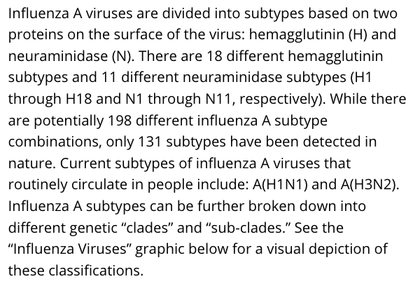 35) Influenza A viruses are supposedly divided into subtypes based on two proteins that exist on the surface of the virus: hemagglutinin (HA) and neuraminidase (NA). There are 18 different HA subtypes and 11 different NA subtypes.