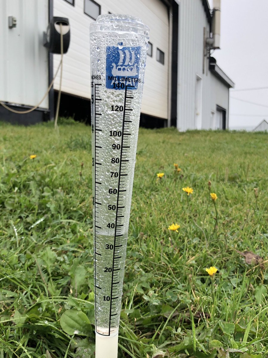 chadspud's tweet photo. Been looking for this rain for a month. Too late for some varieties but will be a great help for those that are still green https://t.co/nfsA3lnPKD