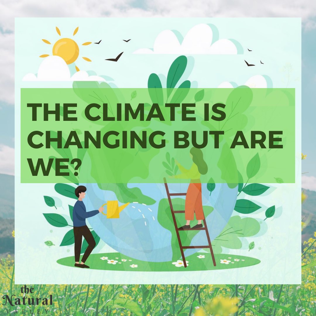 tnvessentials's tweet photo. #organicfood #sustainablelifestyle #crueltyfree #cleanproducts  #bambooindia #zerowastekitchen #zerowastelife #woodisgood #plasticfreeindia #healthjourney #healthmatters #healthtalk #ayurvedalifestyle #ayurvedatip #ecoliving #naturalliving #CoronavirusIndia #ClimateChange https://t.co/7UoX3eqZxn