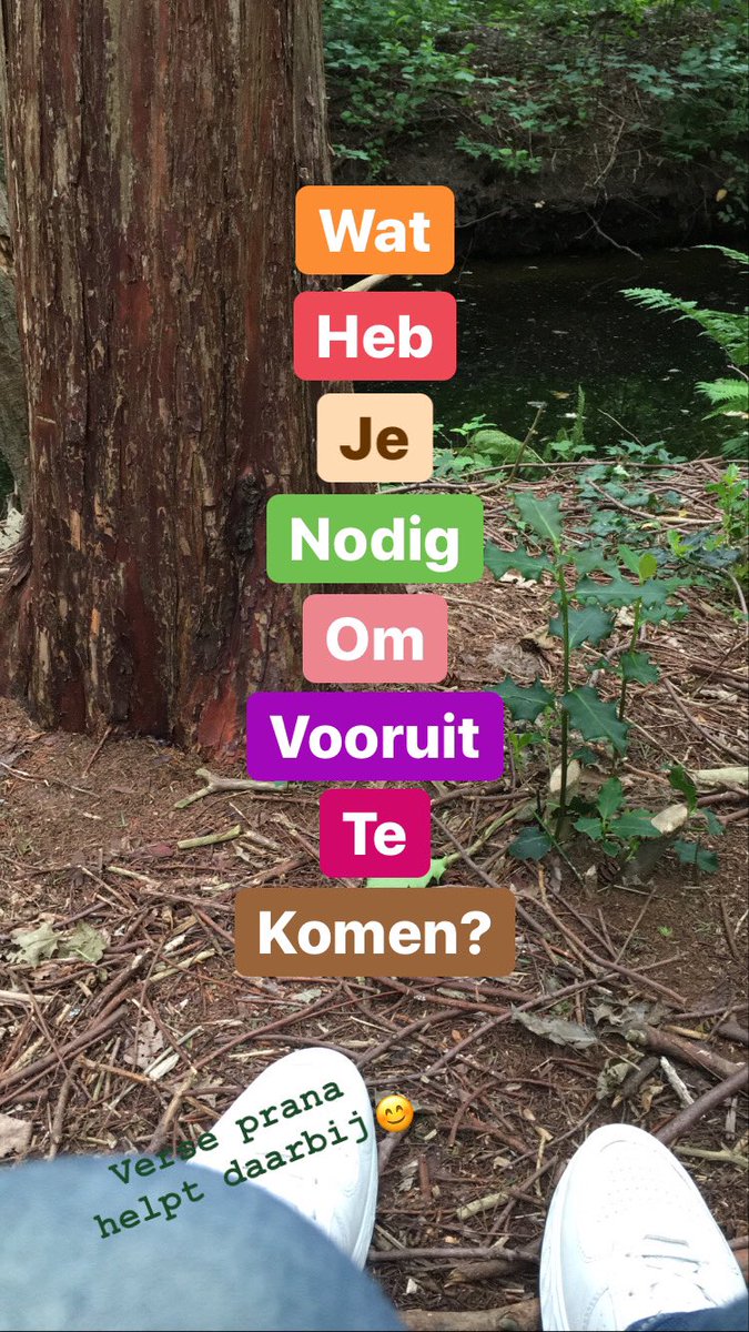 Wat heb je nodig om vooruit te komen? (verse prana helpt daarbij)
Check pranayourlife.nl want je staat er niet alleen voor.