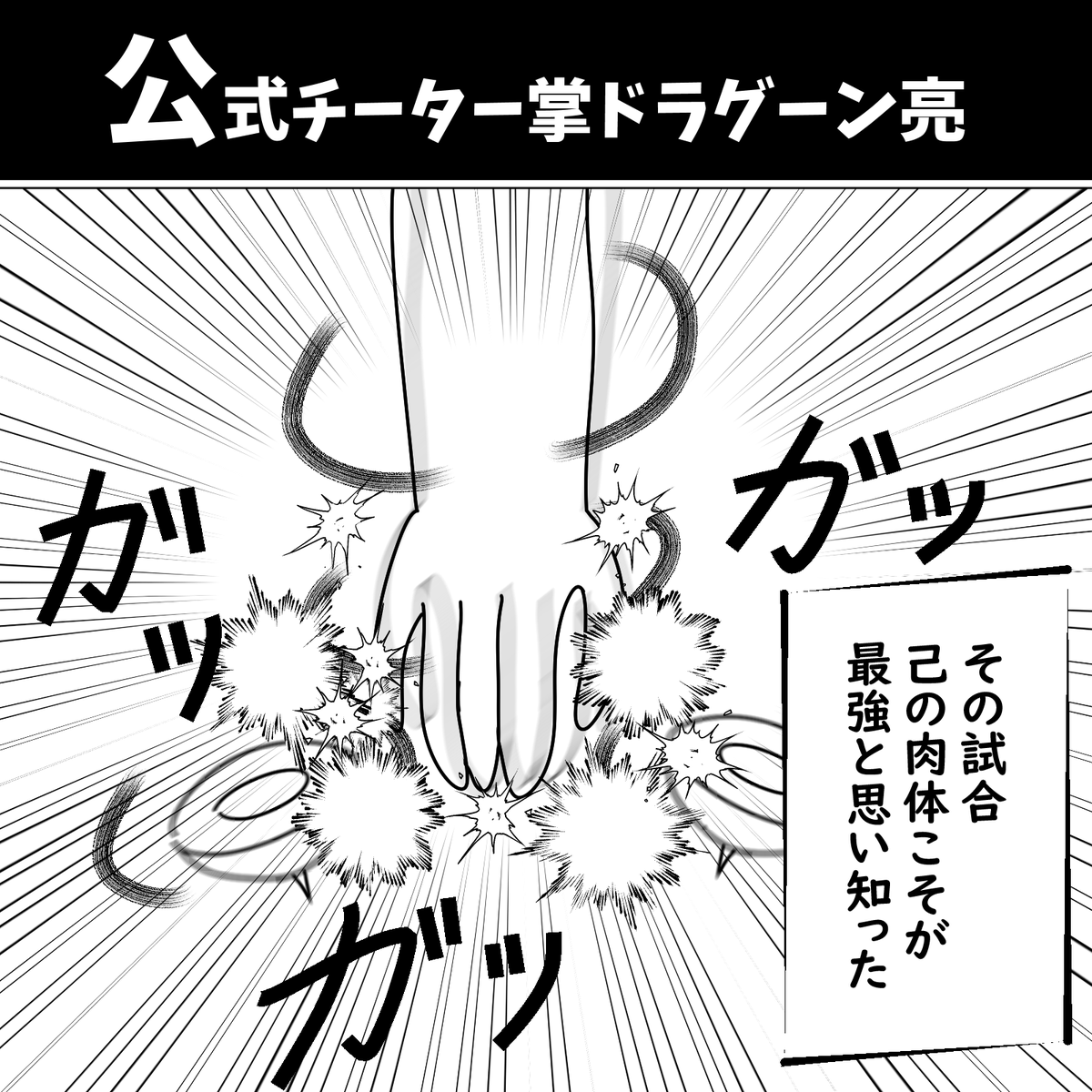 公式チーター 掌ドラグーン亮 