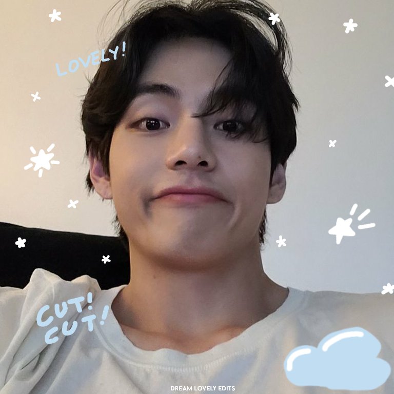 dream lovely's ☁ tweet media