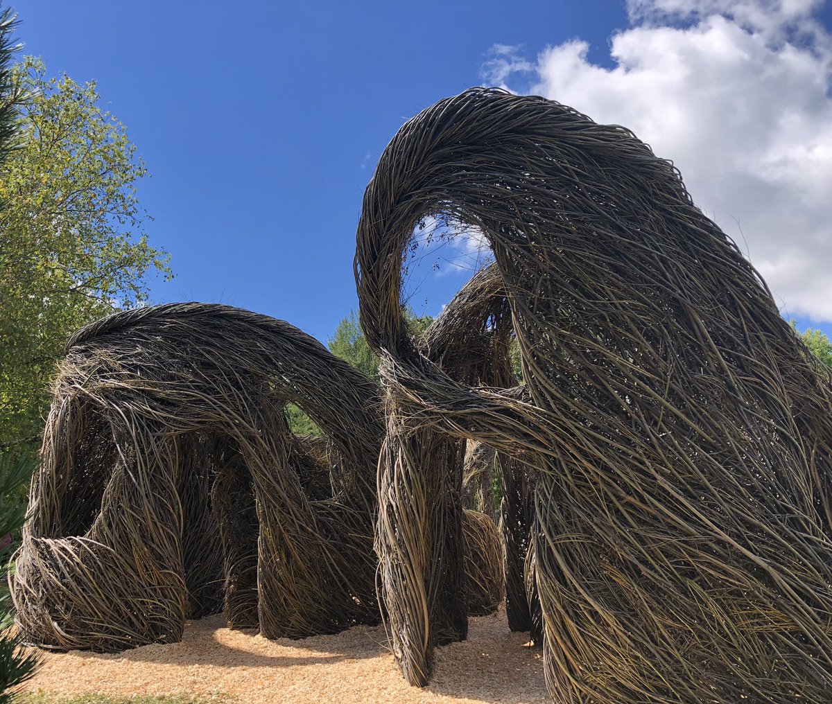 jennifer_gilles's tweet photo. Gorgeous day for a visit to @holdenarboretum! Loved checking out the brand new #Stickworks and as always, the #canopywalk is a blast!! https://t.co/otKCucNbOB