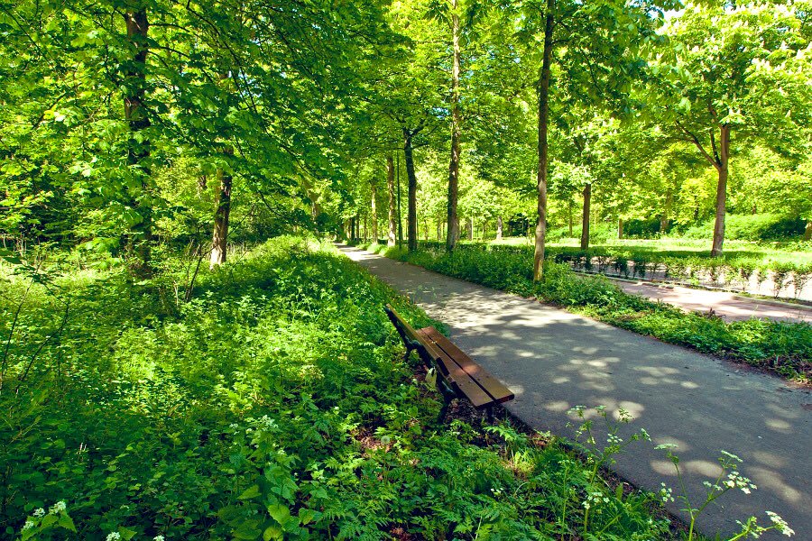 🚶Nairobi Walks & Cycles 🚴 tweet media