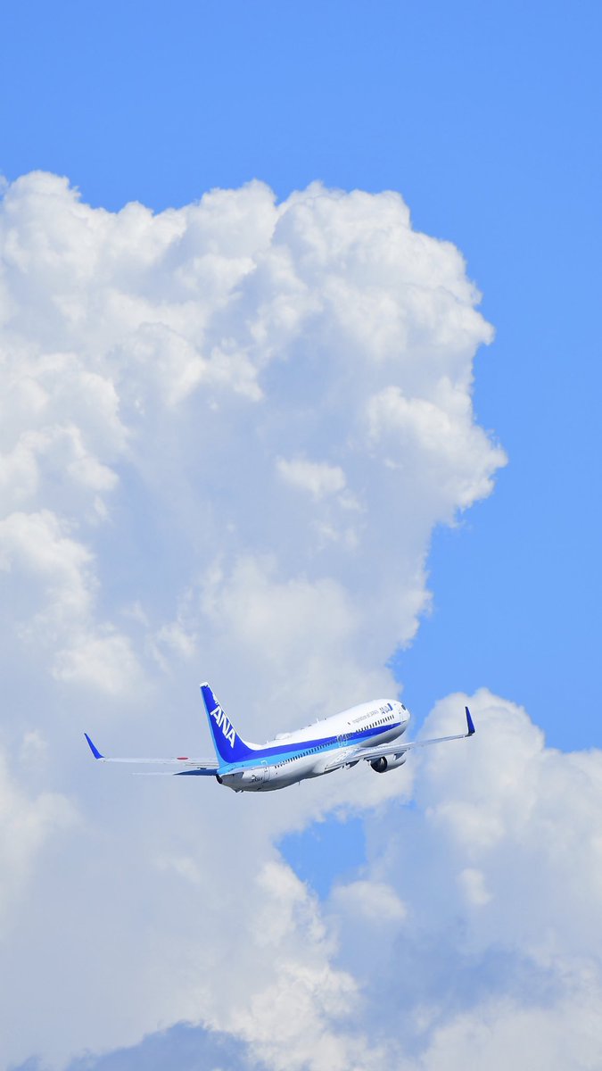 rainbow777_8d's tweet photo. 今日撮った写真たち
part.1
ANA 〜2020夏〜 https://t.co/nEiIQTvTft