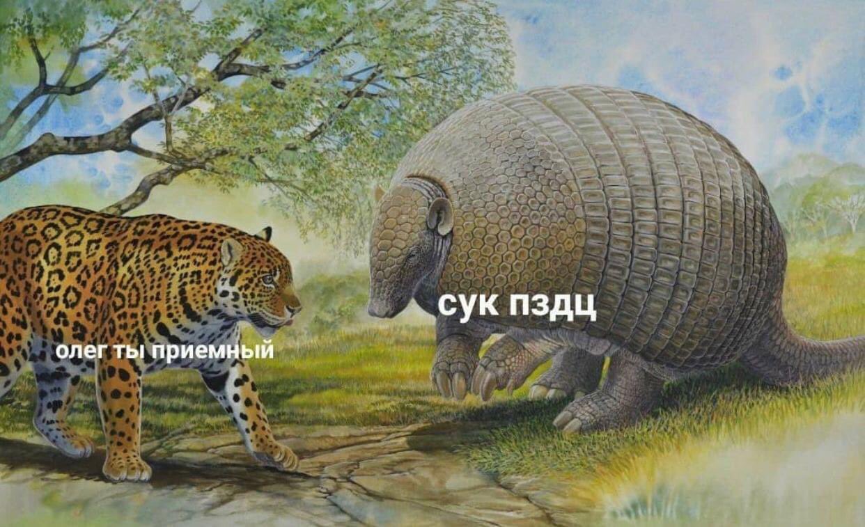 EgrahmHX0AAx-BG?format=jpg&name=large