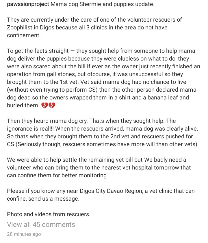 HOLY SHIT. Ngayon ko lang nalaman thru the post of  @pawssionproject in IG na they brought na pala Mama Dog to a vet!!!! Tapos the vet sais mama dog doesn't have the chance to live, then the other person declared mama dog dead that's why they buried her alive.
