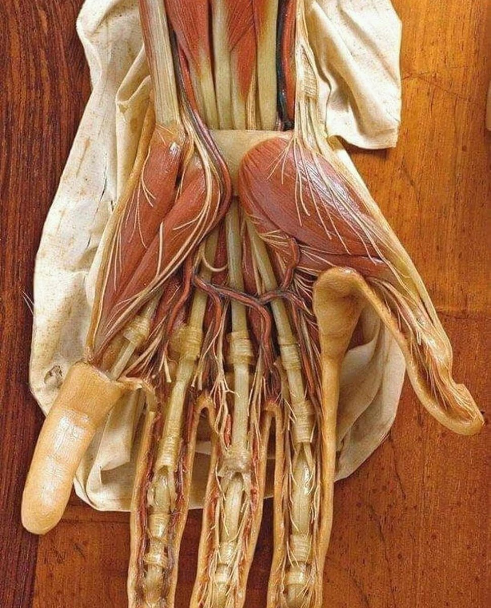 MuslimPause's tweet photo. Nous avons certes créé l'homme dans la forme la plus parfaite.

لَقَدْ خَلَقْنَا ٱلْإِنسَٰن فِىٓ أَحْسَنِ تَقْوِيمٍۢ https://t.co/2Egcy2uKWH