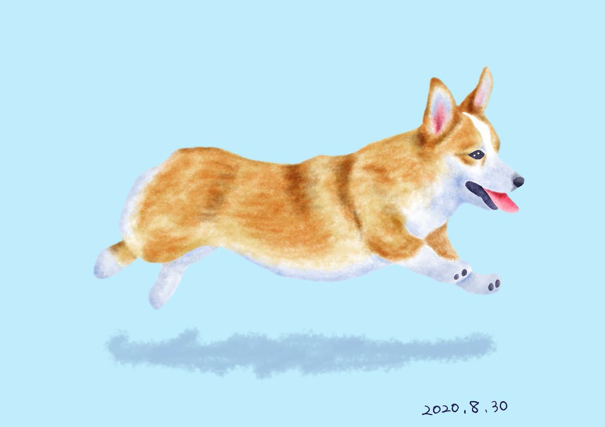 Chippoke ようこ 犬絵 67 コーギー デジタル絵画 デジタルイラスト イラスト 犬イラスト 犬の絵 犬 ウェルシュコーギー Chippoke犬絵