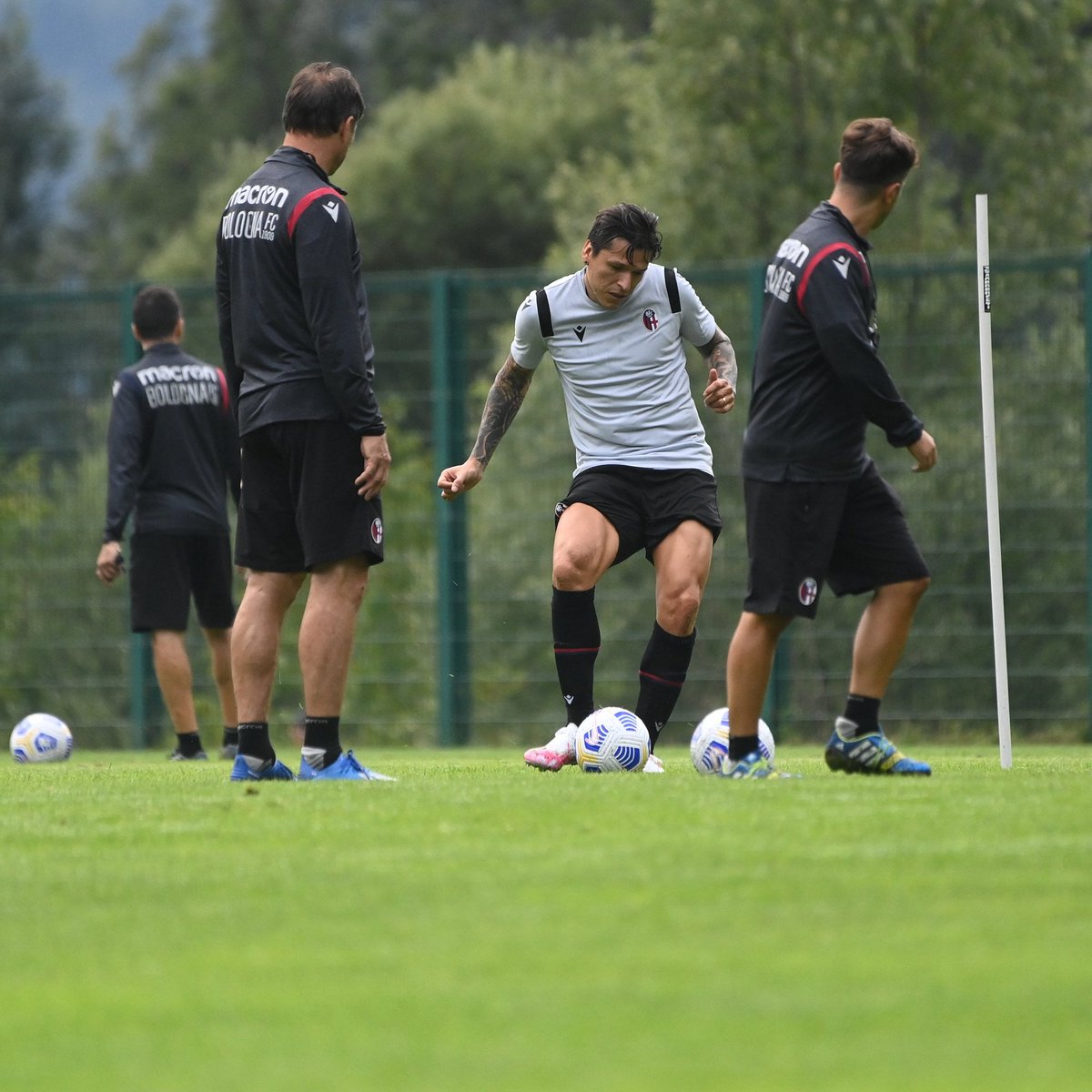 FSantander9's tweet image. ❤️💙