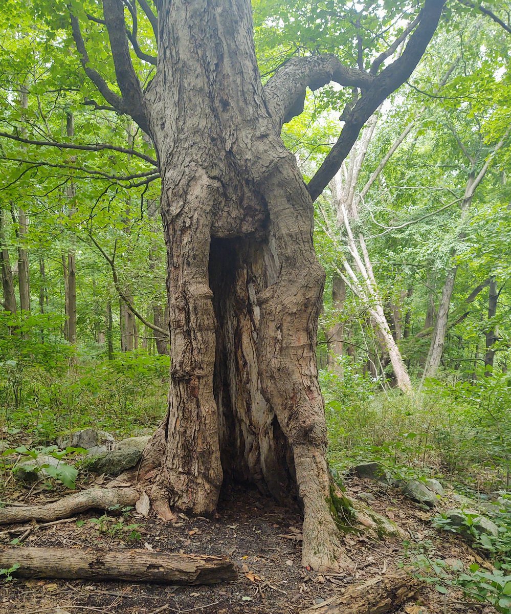 HotRodsbyNHMP's tweet photo. Time portal #traviling #Time https://t.co/cKpzPpvsT9