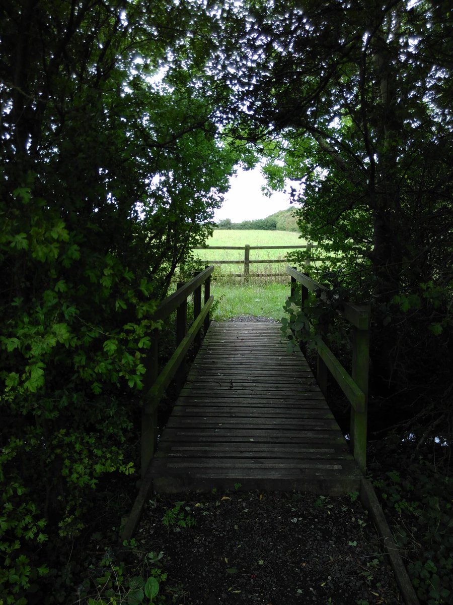 PV_Physicist's tweet image. Went for a long run today to train for #nerdrun in October. Was a bit stop and go because nature was being too cool so I had to stop to take pictures.