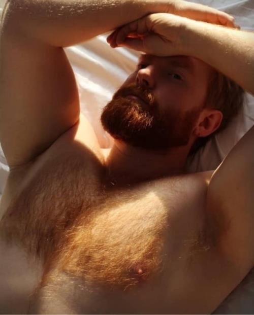 August 30 ?? ?? @hairydavid @hairyfan #hairsome #gayginger #hairychest #hairygay #hairyfan #scruff #beardedhomo