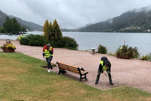 Zehub's tweet photo. #Gérardmer : opération lac propre avec les #cleanwalkers https://t.co/2KEH8BQRrK https://t.co/vCgVr6ysgj