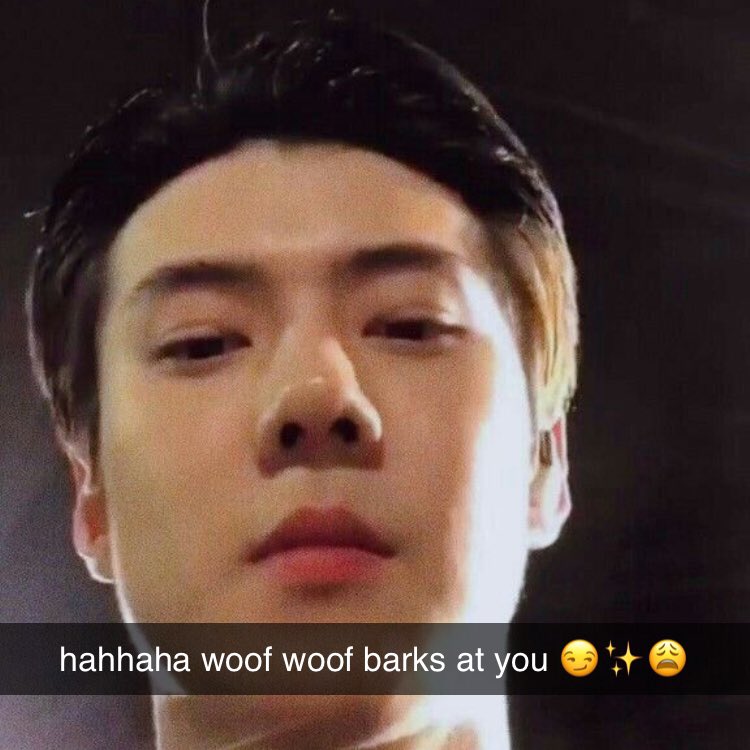 hahhaha woof woof barks at you 