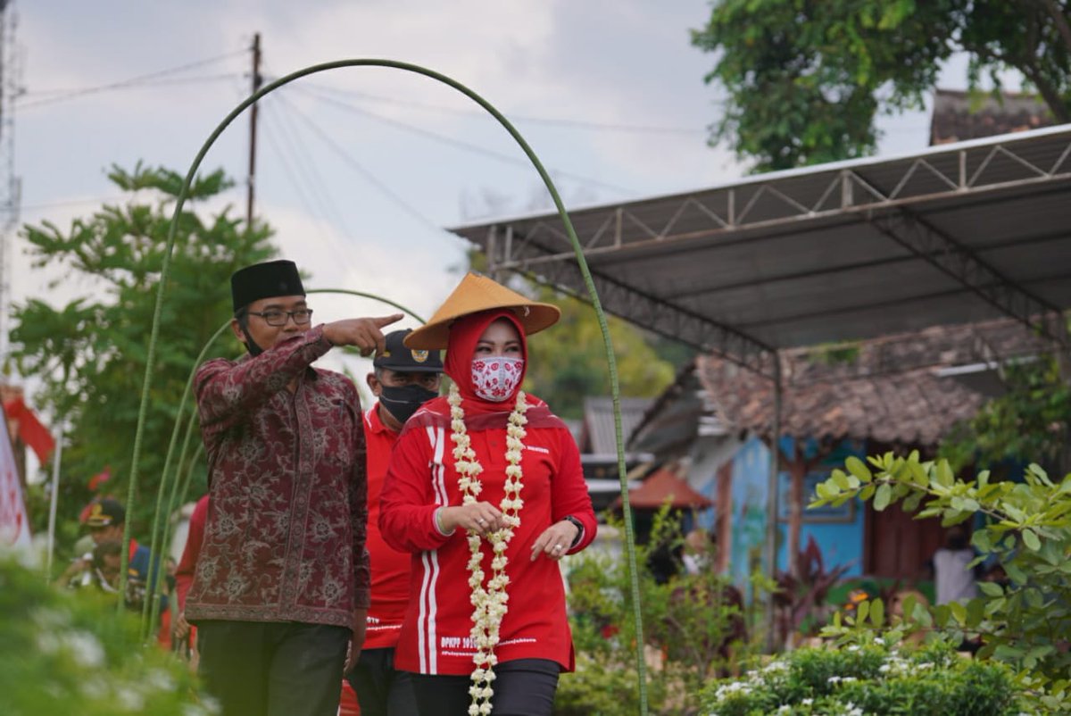 Kades Demakijo Ery Karyatno menyebutkan padi tersebut merupakan hasil kerjasama pihak desa dengan PT. Sang Hyang Seri & Dinas Pertanian Klaten. Dengan dipanennya padi merah secara perdana ini, berharap ini dapat menjadi langkah awal bagi petani di desanya untuk semakin berkembang