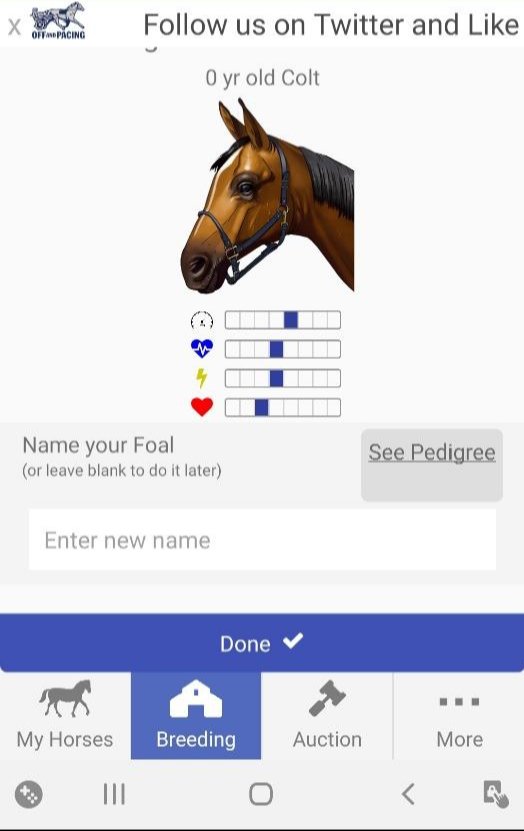 Chicken84080588's tweet photo. This stud was born last night.  He is in the ring!@Rick72998898 @AndPacing @jbbbstable https://t.co/2QAX8vXnCV