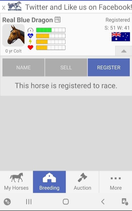 Chicken84080588's tweet photo. This stud was born last night.  He is in the ring!@Rick72998898 @AndPacing @jbbbstable https://t.co/2QAX8vXnCV
