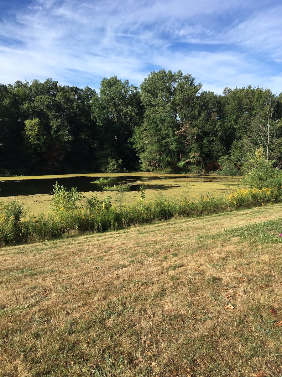 Scott_Monty_'s tweet image. Inspired by @KSPrior and her morning run pics - I decided to do the same. It was good to be a Creation-Enjoyer this morning. “The whole earth is filled with awe at your wonders; where morning dawns, where evening fades, you call forth songs of joy (Psalm 65:8). #HCSTransform #TfT