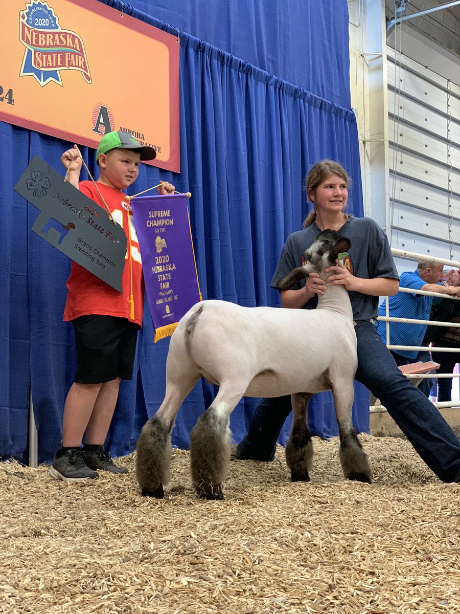 NEStateFair's tweet image. The Five Points Bank Arena is completely FULL of talent, passion, and competitiveness. Stop by the arena or watch online via NET to witness the 4-H beef, sheep, and goat shows. Who do you know that is competing today?? #nestatefair