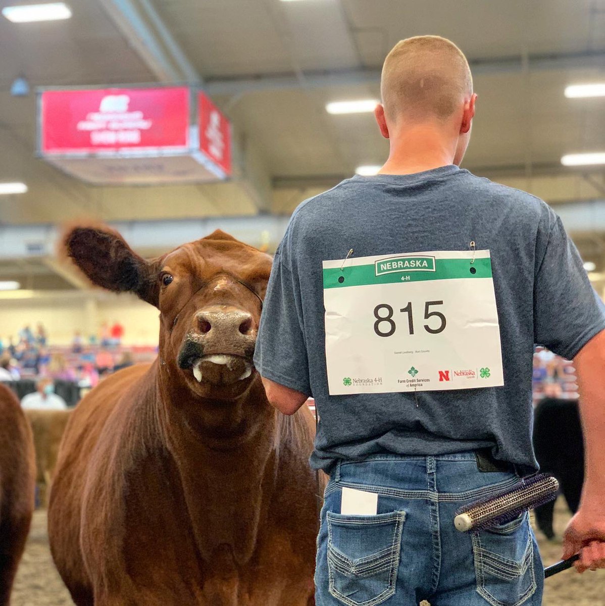 NEStateFair's tweet image. The Five Points Bank Arena is completely FULL of talent, passion, and competitiveness. Stop by the arena or watch online via NET to witness the 4-H beef, sheep, and goat shows. Who do you know that is competing today?? #nestatefair
