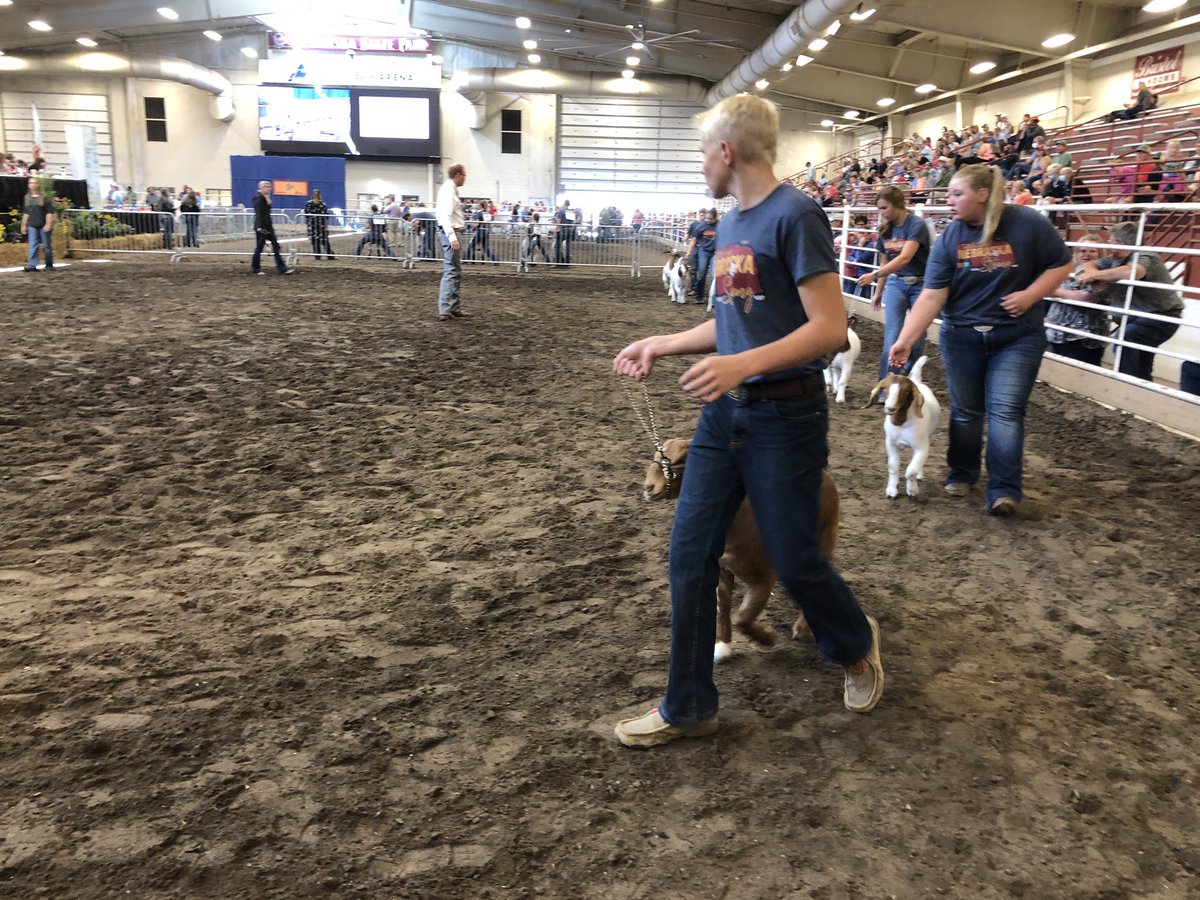stevewhitenews's tweet image. Lots of activity in the livestock arena at the @NEStateFair!