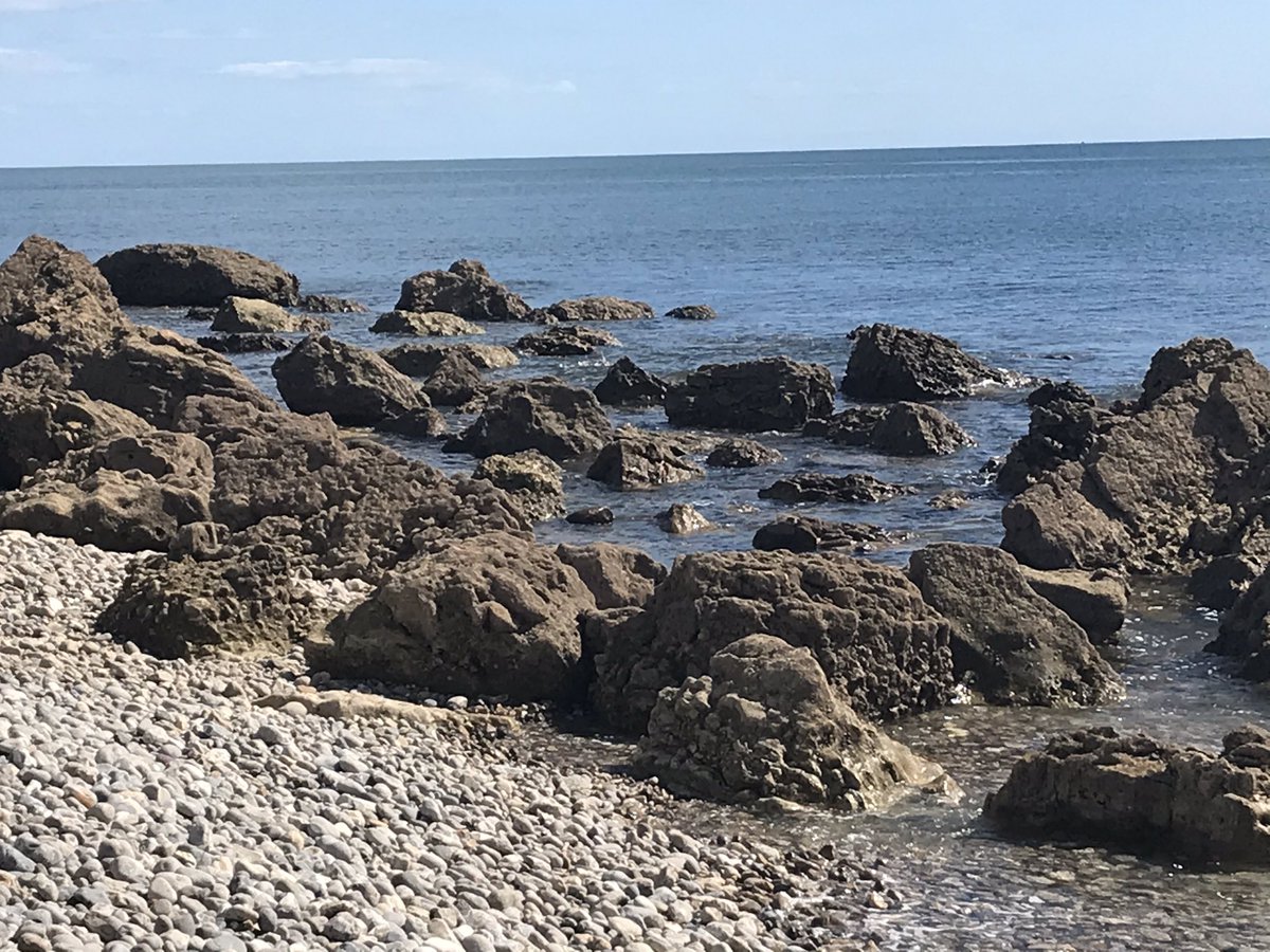 bramwell_mark's tweet photo. Beautiful day and bank holiday at Rousdon Estate private beach today #Rousdon @LymeOnlineUK @LymeRegisTIC #staycation https://t.co/zxrrksr61l