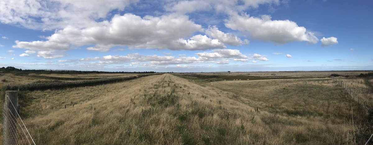 Enjoying a walk through Romney wetlands in Kent with my family
